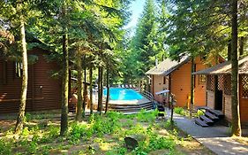 Gostynniy Dvir in Forest Коттеджи